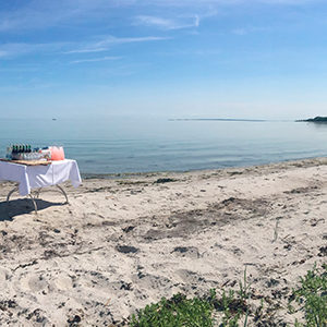 Rarbarberjuice opstillet på strand til konferencegæster